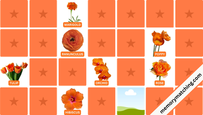 Orange Flowers Memory Game - match the cards