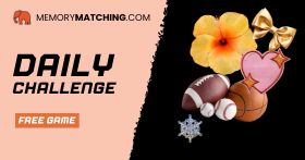 Daily Memory Challenge