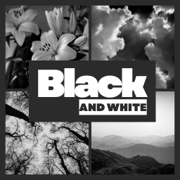 Black and White Memory Game