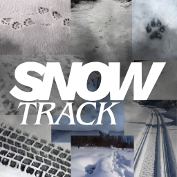 Snow Tracks Memory Game