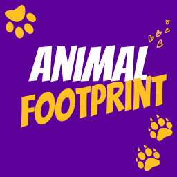 Animal Footprints Memory Game