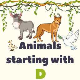 Animals Starting with D Memory Game