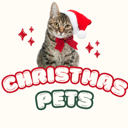 Christmas Pets Memory Game