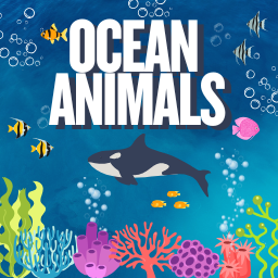 Ocean Animals Memory Game