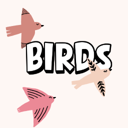 Birds Memory Game
