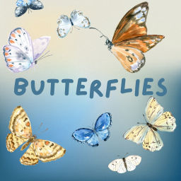 Butterflies Memory Game