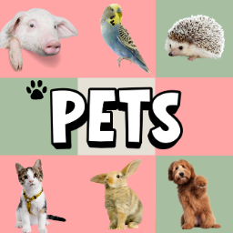 Pets Memory Game